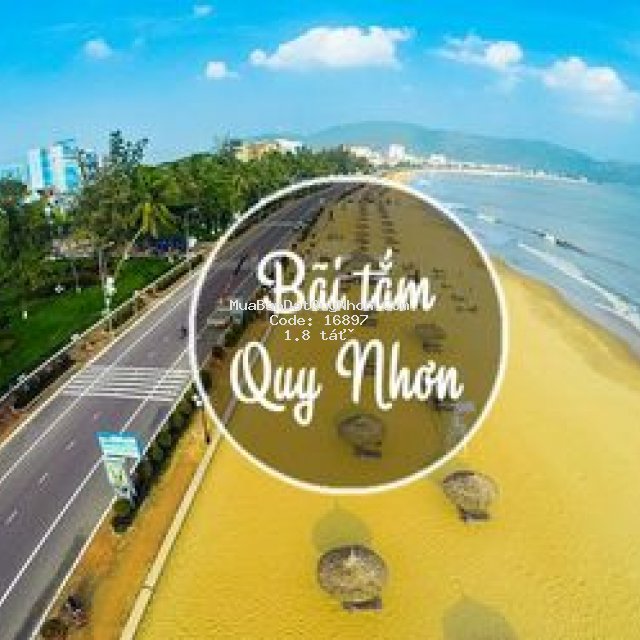 Cần bán căn hộ mặt biển quy nhơn, chỉ từ 600 triệu