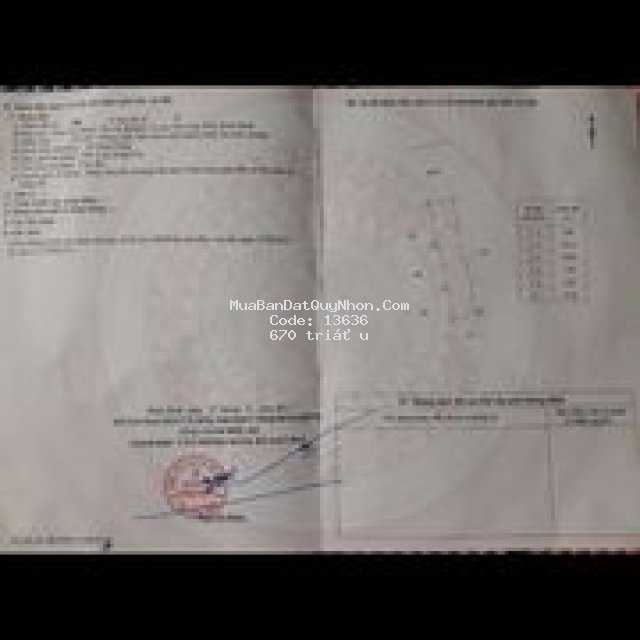 Cần bán gấp.