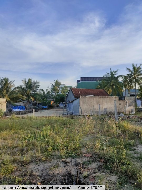 Cần bán lô đất rẻ đẹp cho vợ chồng ra riêng - Cửu Lợi Đông - Phường Tam Quan Nam - TX Hoài Nhơn - Diện tích: 100m2 - Giá bán: 560 triệu