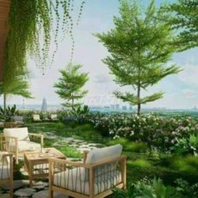 Căn hộ sân vườn đầu tiên quy nhơn - mua ngay ở gđ1