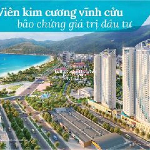 Căn hộ vip view biển qui nhơn ôm trọn biển