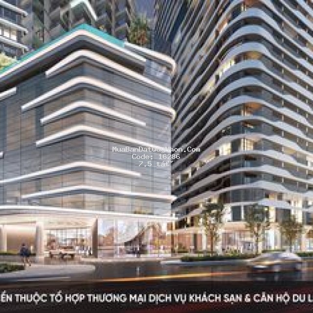 Centara quản lý vận hành cadia quy nhơn