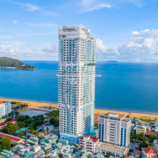Chí chủ cần bán căn hộ tms puman view biển Chí chủ cần bán căn hộ tms puman view biển