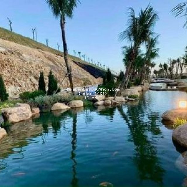 Chính chủ bán căn bizhouse hải giang