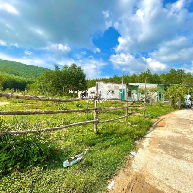 Chính chủ cuối năm kẹt tiền bán gấp đất farmstay