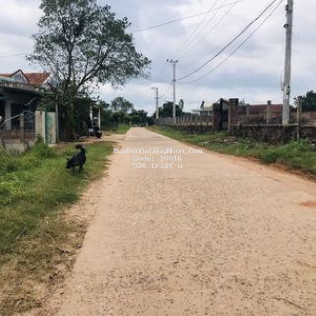 đất 2 mặt tiền trung tâm tây sơn, giá rẻ