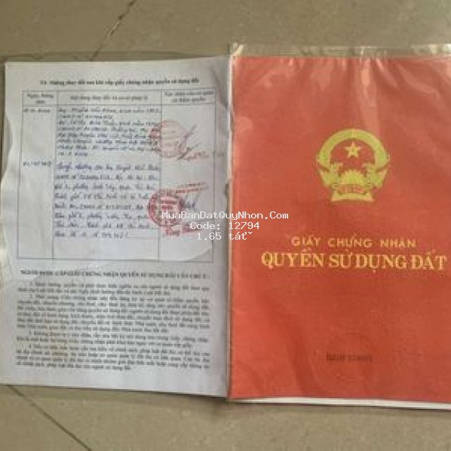 đất có sổ mặt tiền quốc lộ 1a ở xã cát tân
