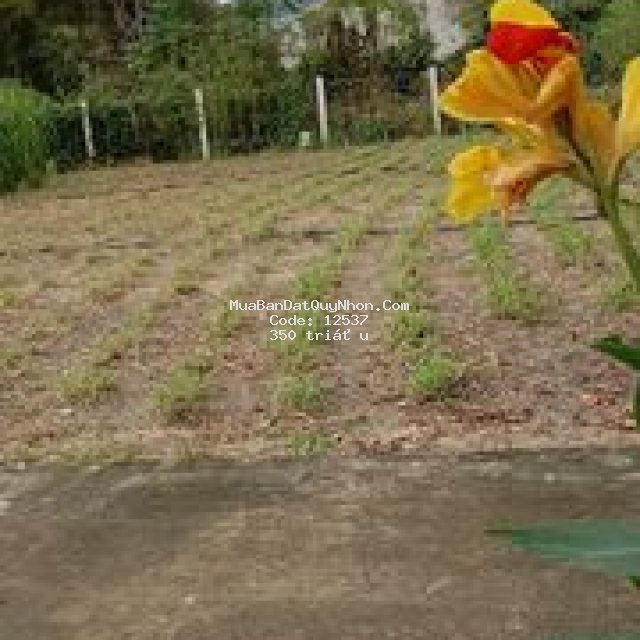 đất huyện tuy phước 122.5m²