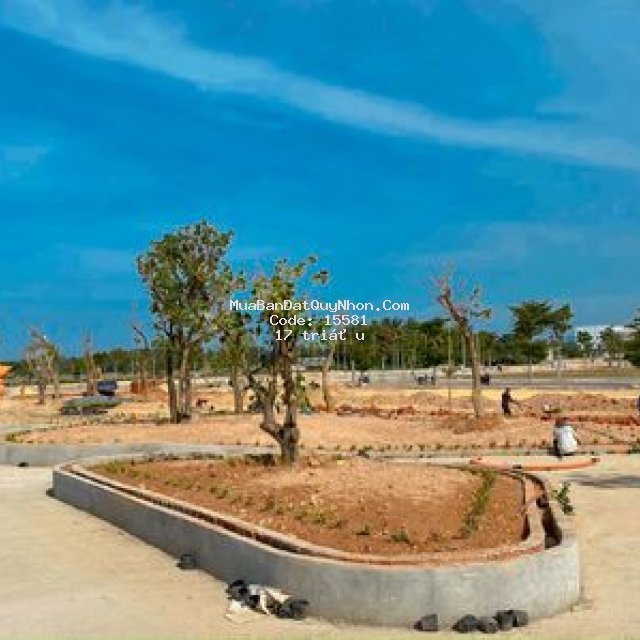 đất nền đầu tiên
