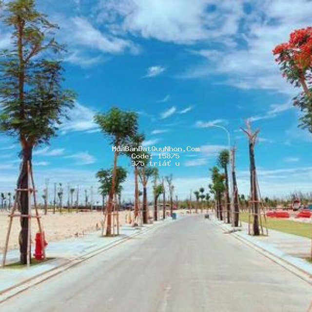 đất nền sát  biển quy nhơn ,tt chỉ 375 triệu/nền