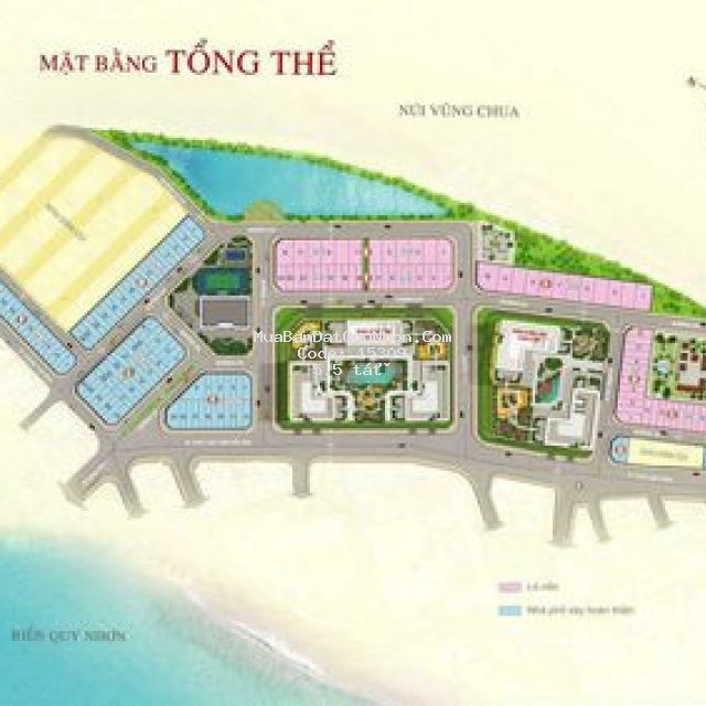 đất nền trung tâm tp biển quy nhơn, bình định