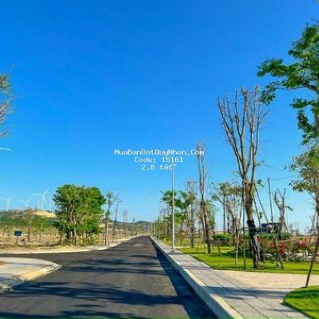 đất nhơn hội chỉ tt 5% chiết khấu 2 chỉ vàng