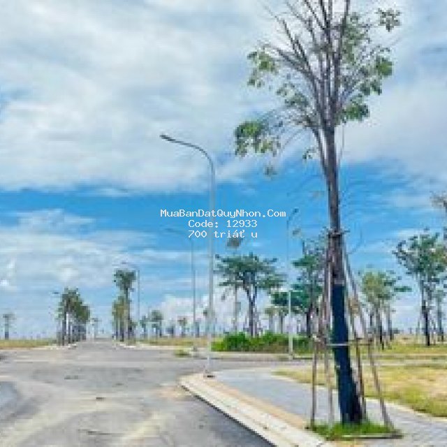 đất nhơn hội newcity giá bán từ chủ đầu tư