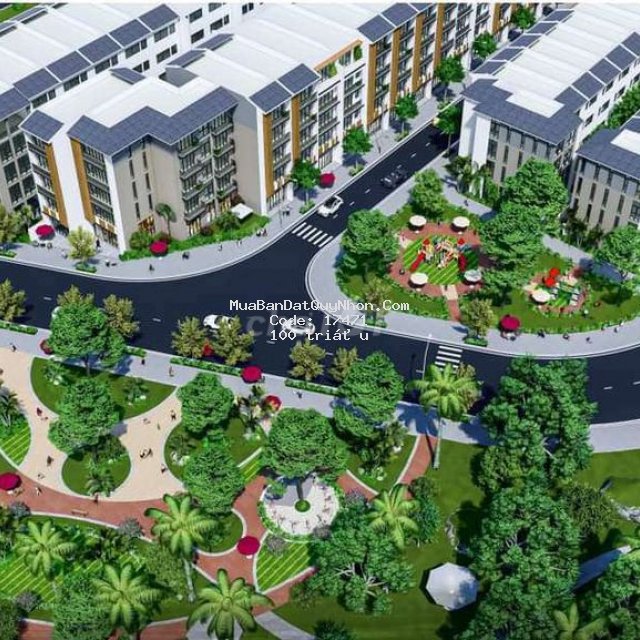 Dự án central avenue quy nhơn- cát tiến