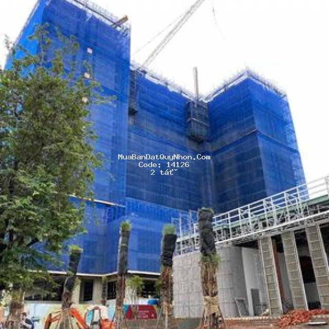 Em cần tiền nên bán gấp căn quy nhơn đẹp lắm ak