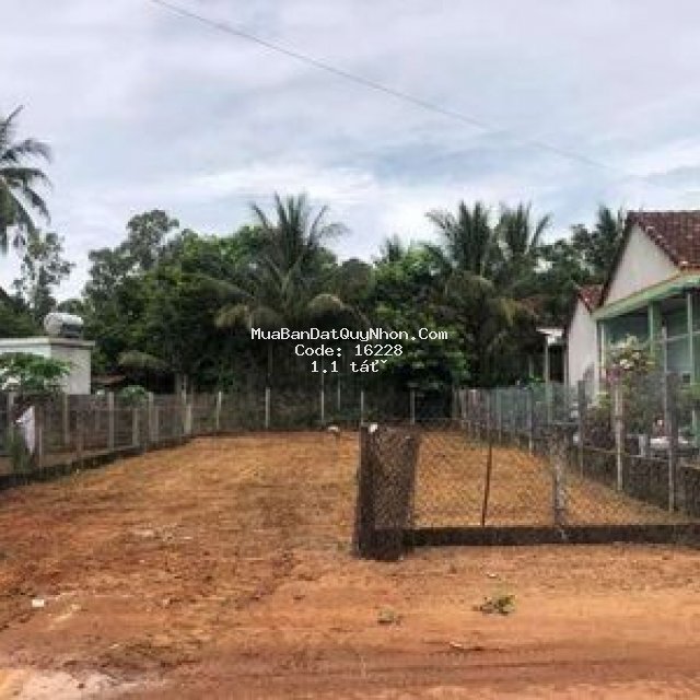 Hoài thanh  hn bđ12x30m 100m đất ở cần bán .