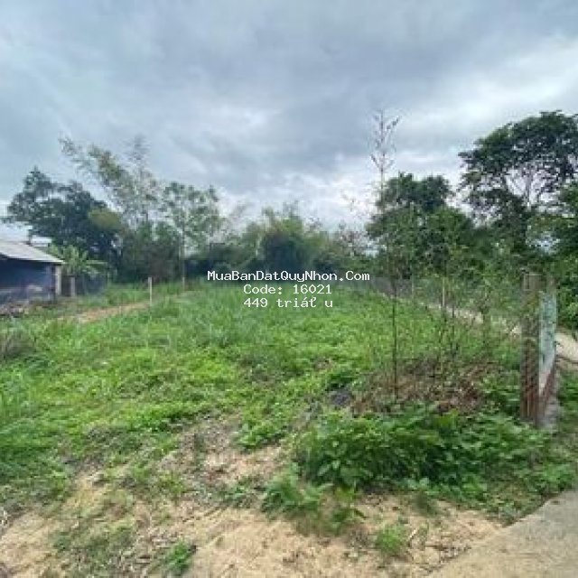 Lô đất giá mền 450m2 ở bình hòa,tây sơn, bình định