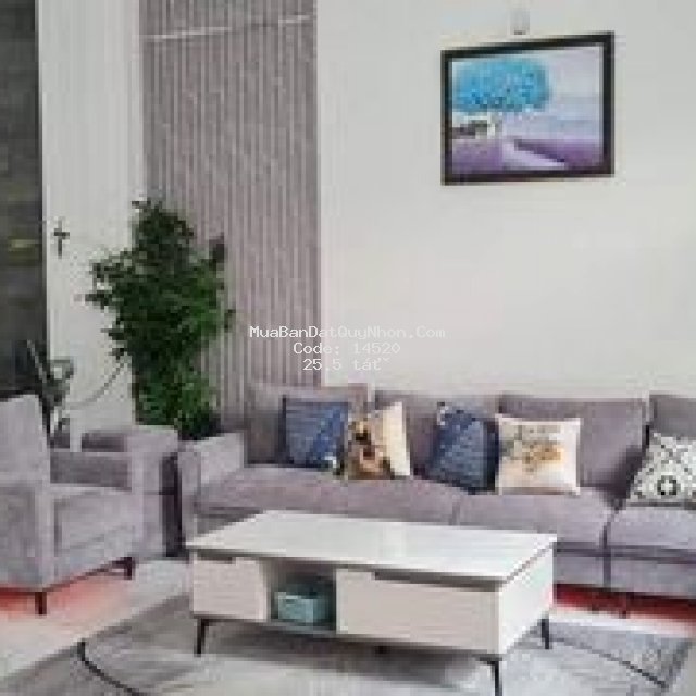 Nhà đẹp mái thái m.tiền nguyễn thái hoc quy nhơn