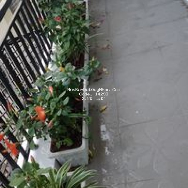 Nhà nội thành quy nhơn giá rẻ dt 72m2 ngang 4,5m