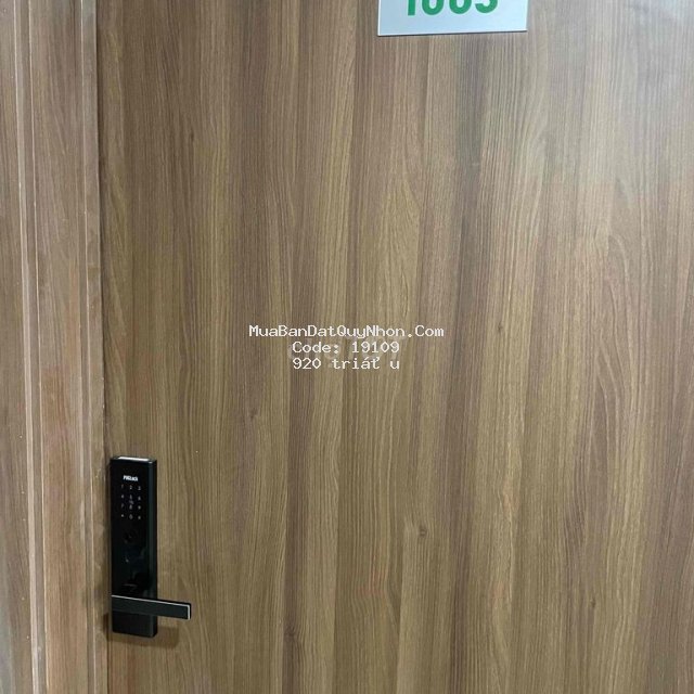 Căn hộ ecohome nhơn bình