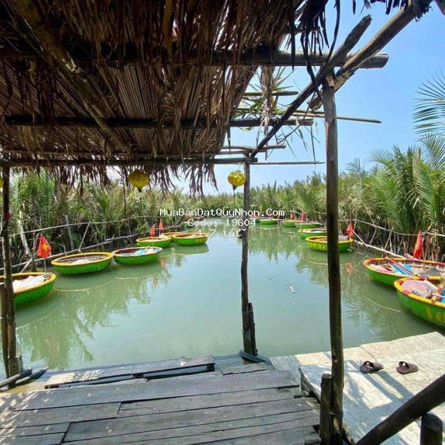Mở bán khu camping trong trung tâm hoài nhơn