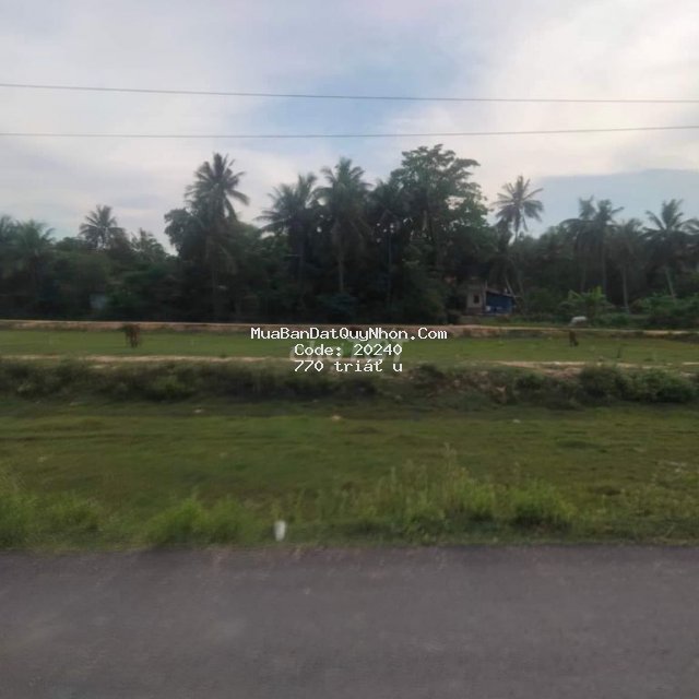 Thổ cư 100% , 219m, lô góc ,thạch bàn, cát sơn, phù cát, bình định.