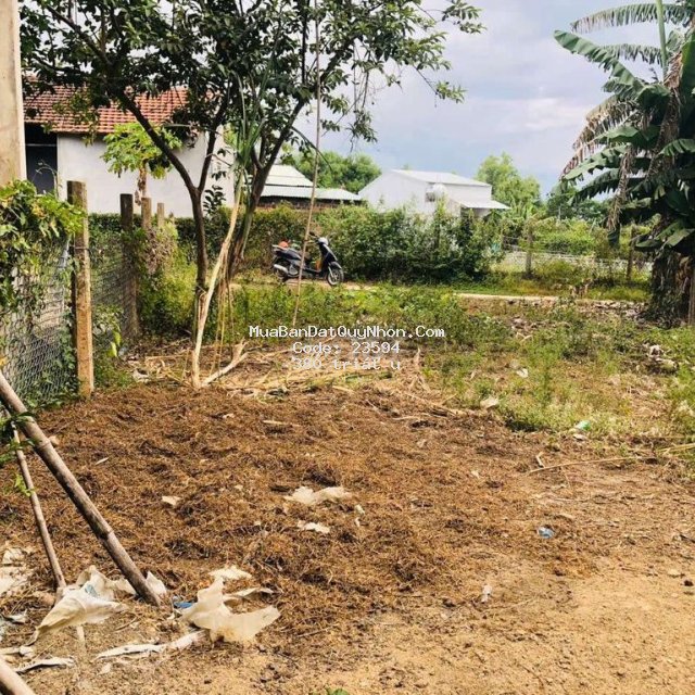 140,5 m² đất thổ cư phước sơn giá 380