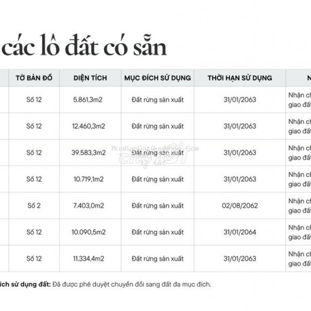 Bán đất “rừng trong phố” giữa lòng quy nhơn –  chỉ từ 180k/m²