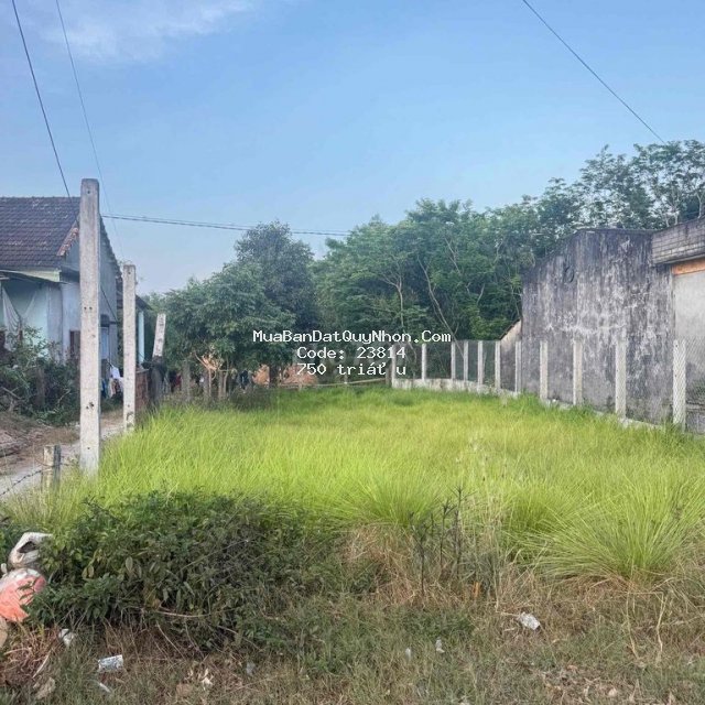 Bán lô đất sạch chính chủ 150m2, mt 631 mỹ trinh, phù mỹ, bình định Bán lô đất sạch chính chủ 150m2, mt 631 mỹ trinh, phù mỹ, bình định