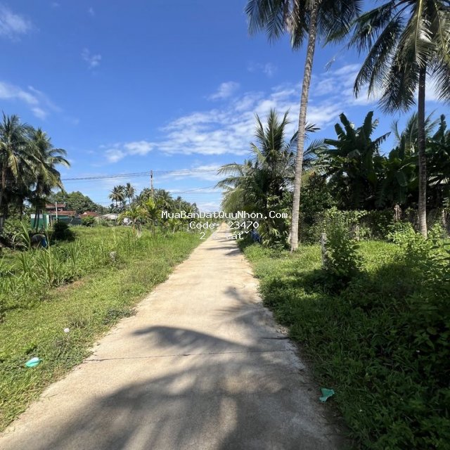 Cần bán nhanh lô đất