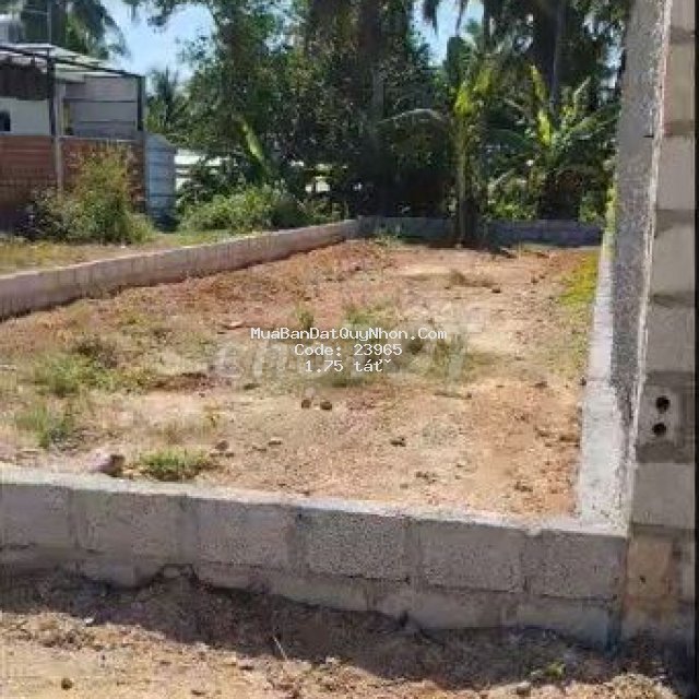 Chính chủ bán nhanh lô đất full thổ cư cổng chào tx hoài nhơn