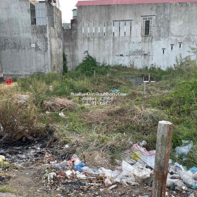 Chính chủ cần bán đất ngay đối diện chợ gò bồi Chính chủ cần bán đất ngay đối diện chợ gò bồi