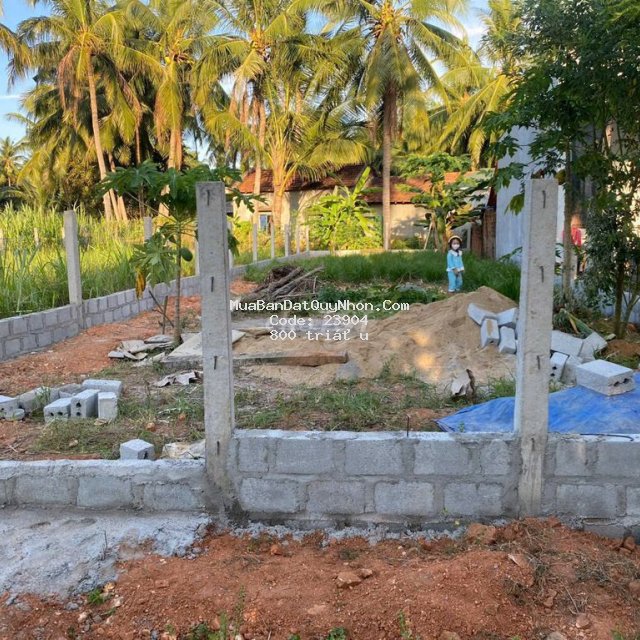 đất thổ cư toàn bộ 177.1 m2