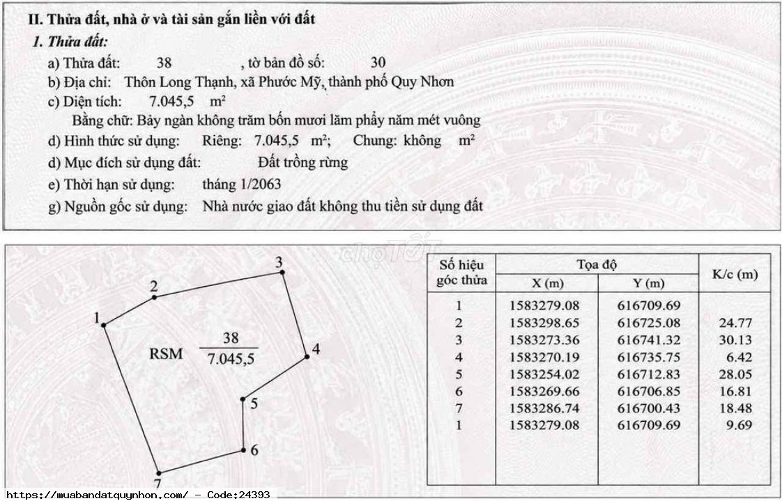 Bán đất rừng trồng keo