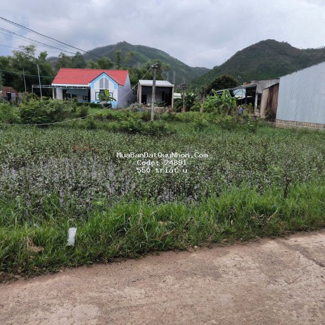 Bán đất xã tuy phước tây Bán đất xã tuy phước tây