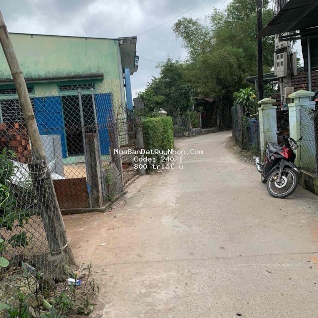 Bán lô đất xã tuy phước tây, tỉnh gia lai (bình định cũ) Bán lô đất xã tuy phước tây, tỉnh gia lai (bình định cũ)