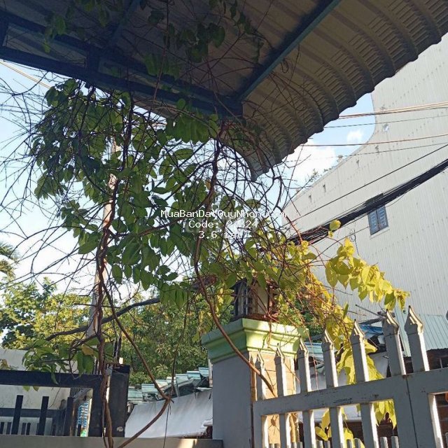 Bán nhà 3 tầng