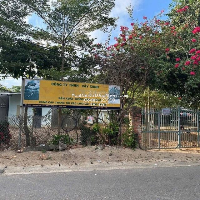 Chính chủ bán đất mặt tiền tl 639 – cát tiến – phù cát Chính chủ bán đất mặt tiền tl 639 – cát tiến – phù cát