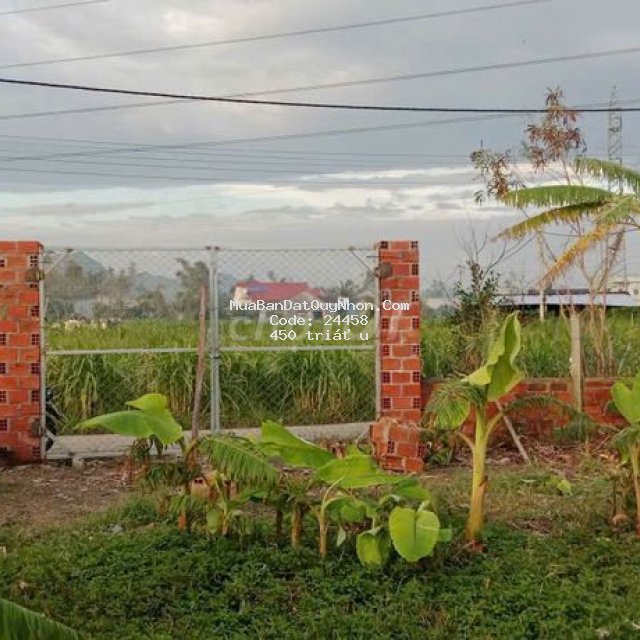 đất đẹp phước an